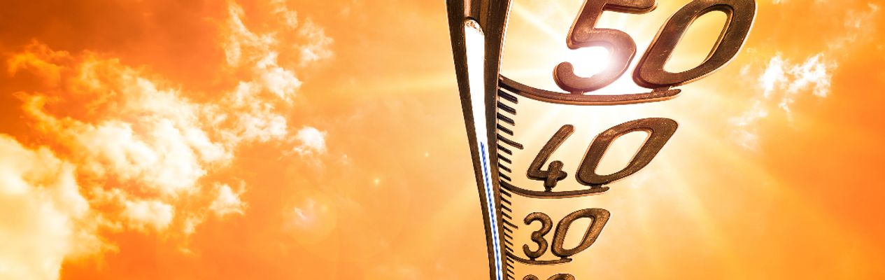 Artikel header afbeelding