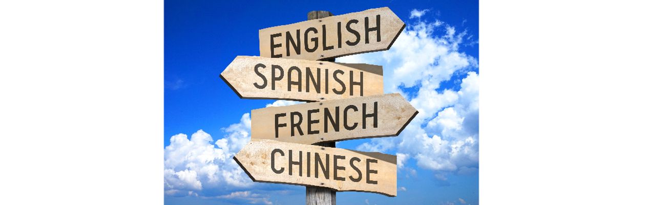 Artikel header afbeelding