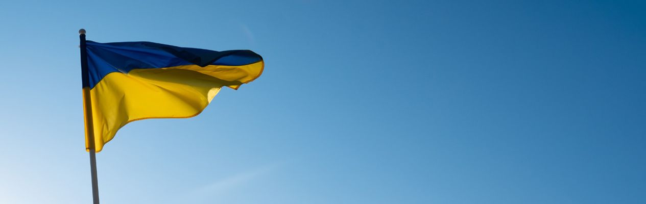 Artikel header afbeelding