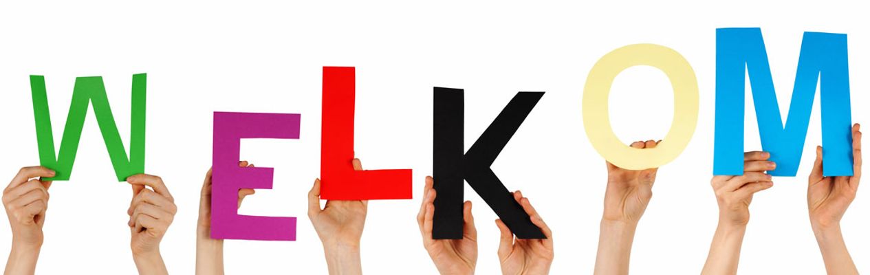 Artikel header afbeelding