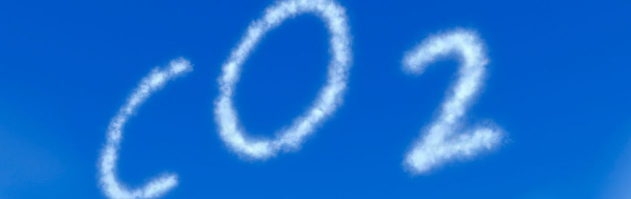 Artikel header afbeelding