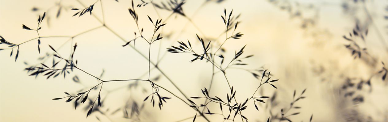 Artikel header afbeelding