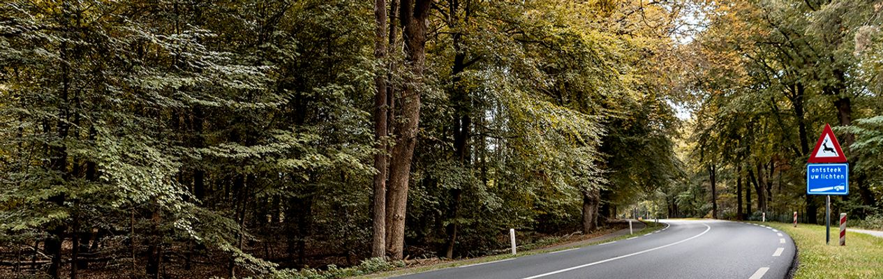 Artikel header afbeelding