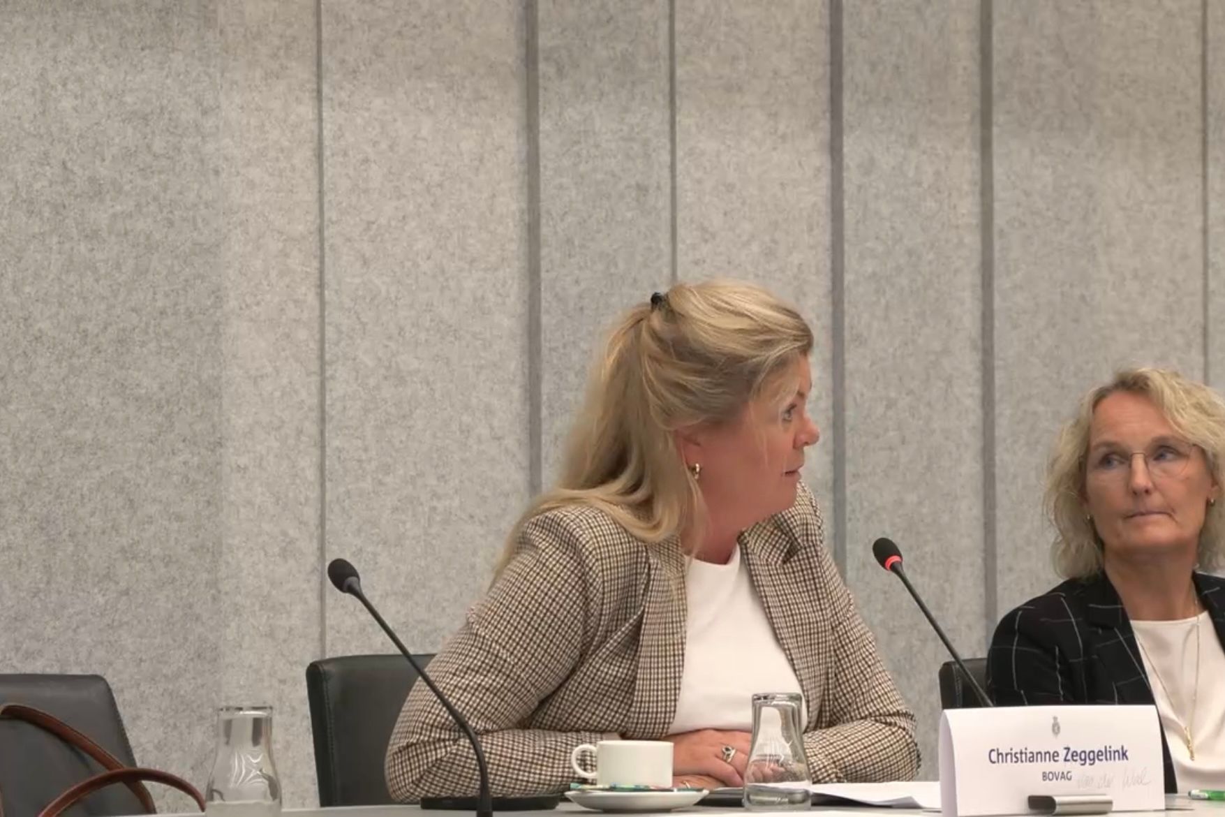 Christianne van der Wal in Tweede Kamer BOVAG