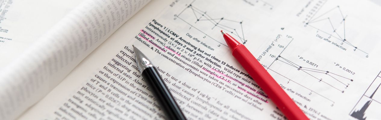 Artikel header afbeelding