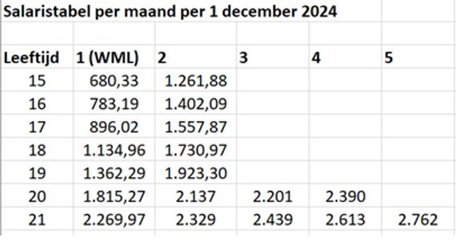 Salaristabel cao Tank en Was per maand per 1 december 2024