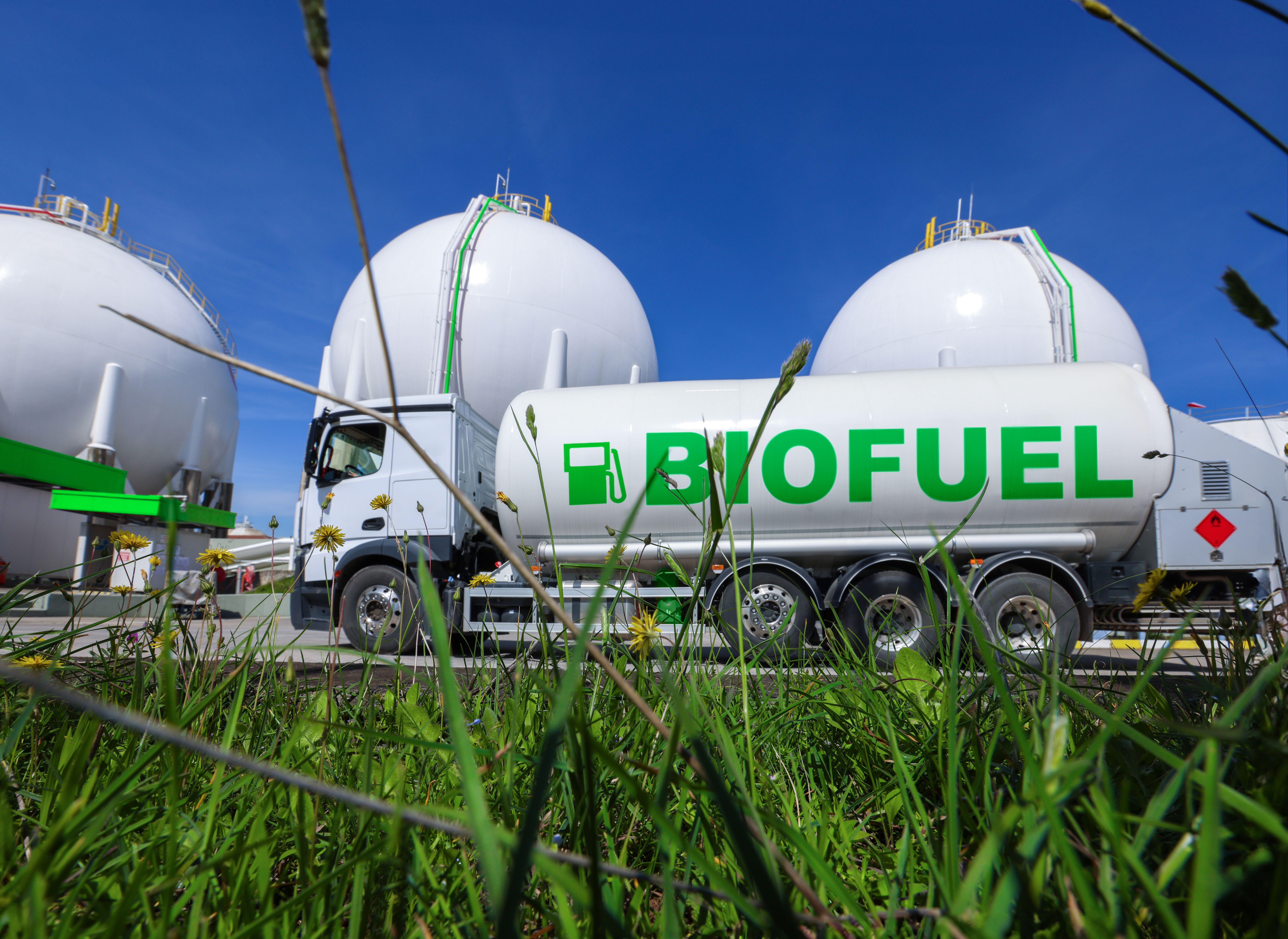 biobrandstof