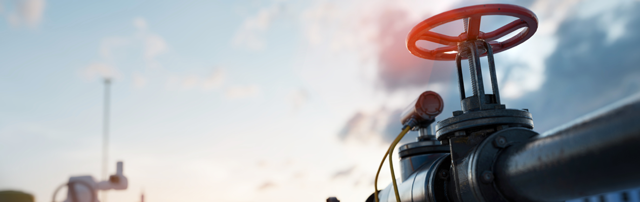 Artikel header afbeelding