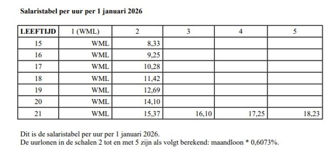 Salaristabel Tank en Was 1 januari 2026 per uur