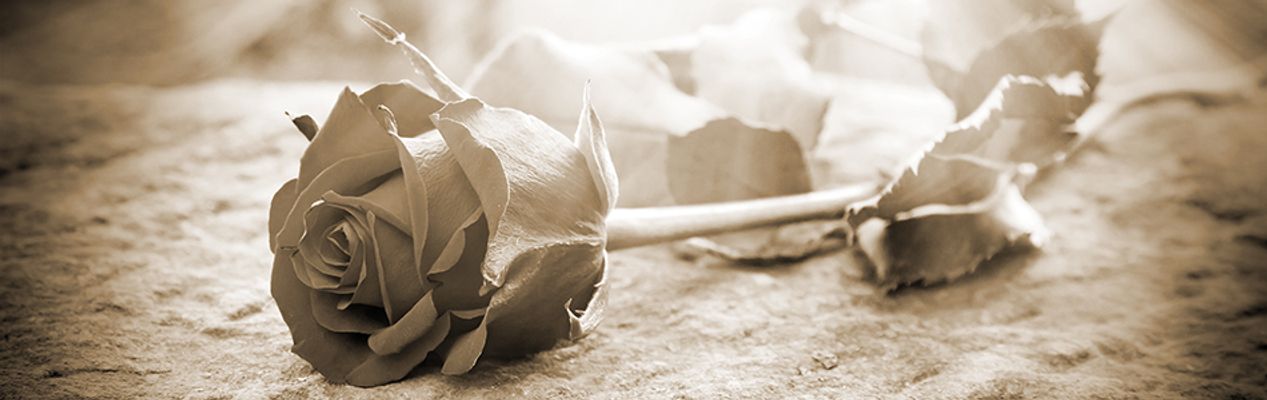 Artikel header afbeelding