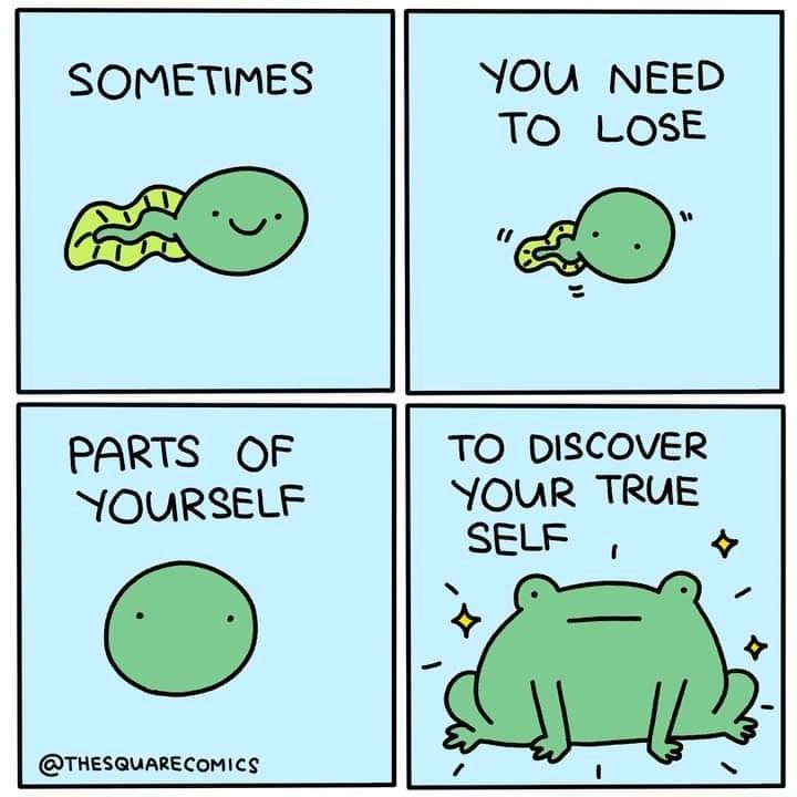 tadpole turns into a frog, acknowledges that he has to let go of his tail to become a frog