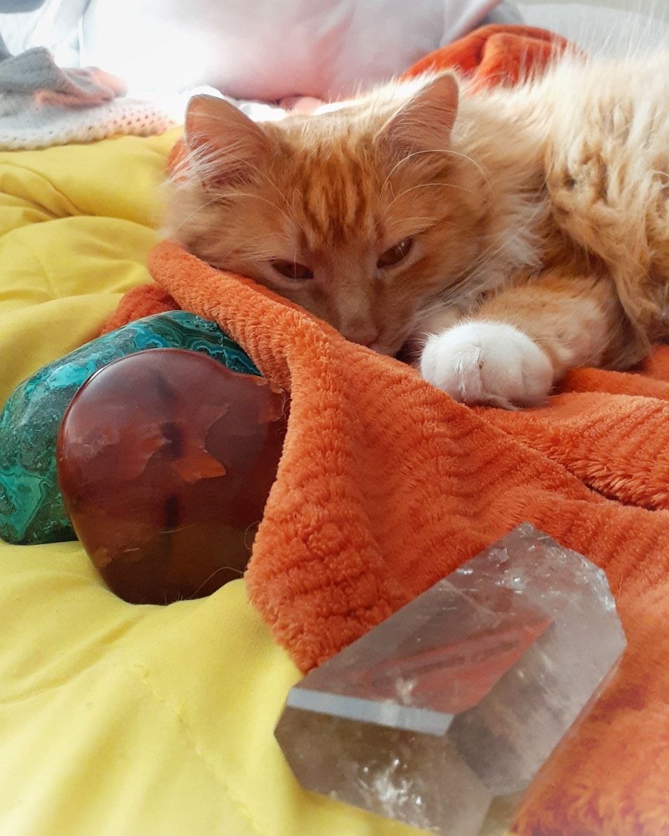 Raichu on bed with blanket and crystals