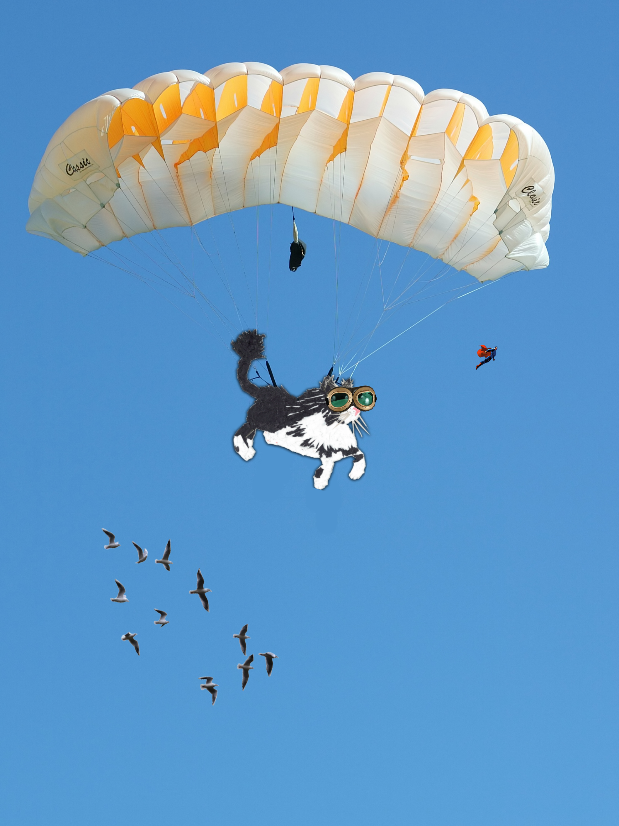 Mr Felix flying on a paraglider