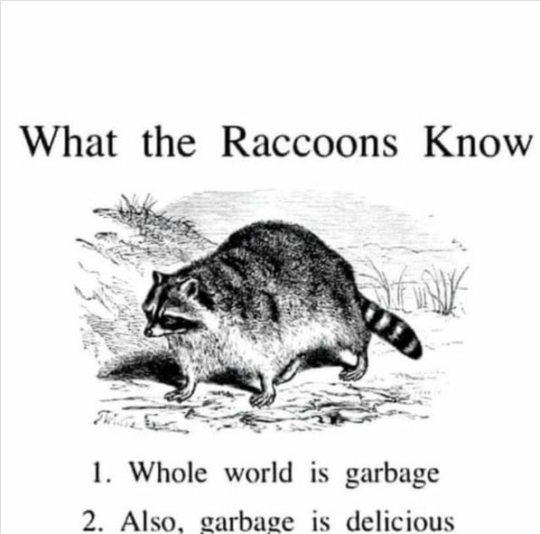 Raccoon sketch with caption "What the raccoons know: 1. Whole world is garbage. 2. Garbage is delicious".