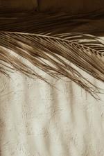 Dessert Posters Beige bild 1