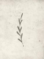 Autumn leaf Posters Beige bild 1