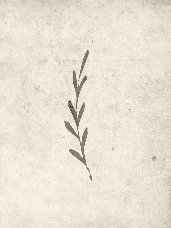 Autumn leaf Posters Beige — Hemvaruhuset