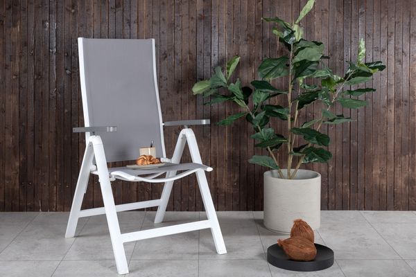 Albany Positionsstol 2-pack Grå — Hemvaruhuset