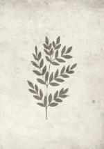 Spring leaf Posters Beige bild 1