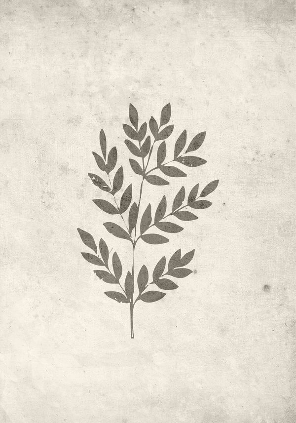 Spring leaf Posters Beige — Hemvaruhuset