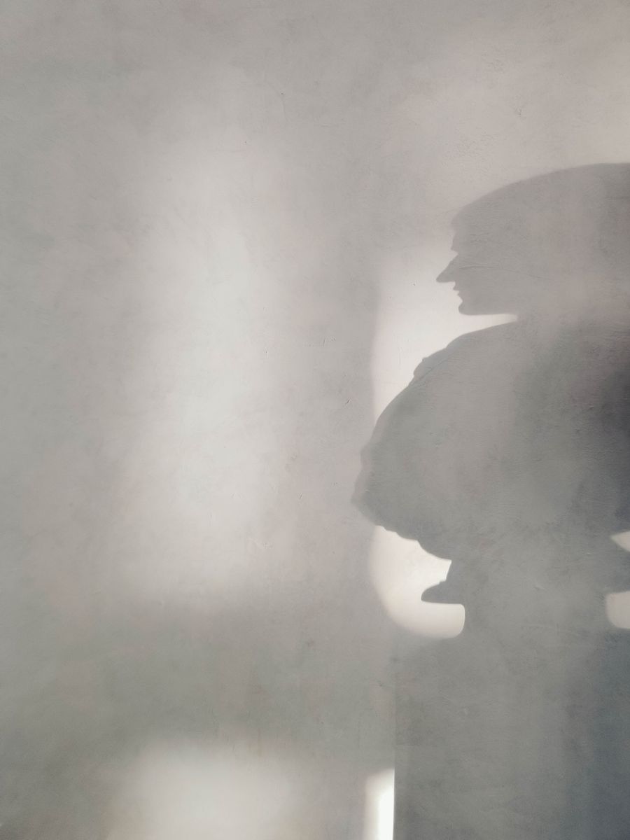 Human shadow Posters Grå