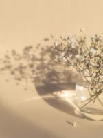 White Flowers Posters Beige bild 1