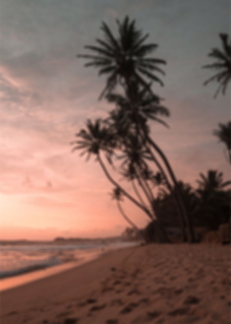 Summer Posters - Alternate view