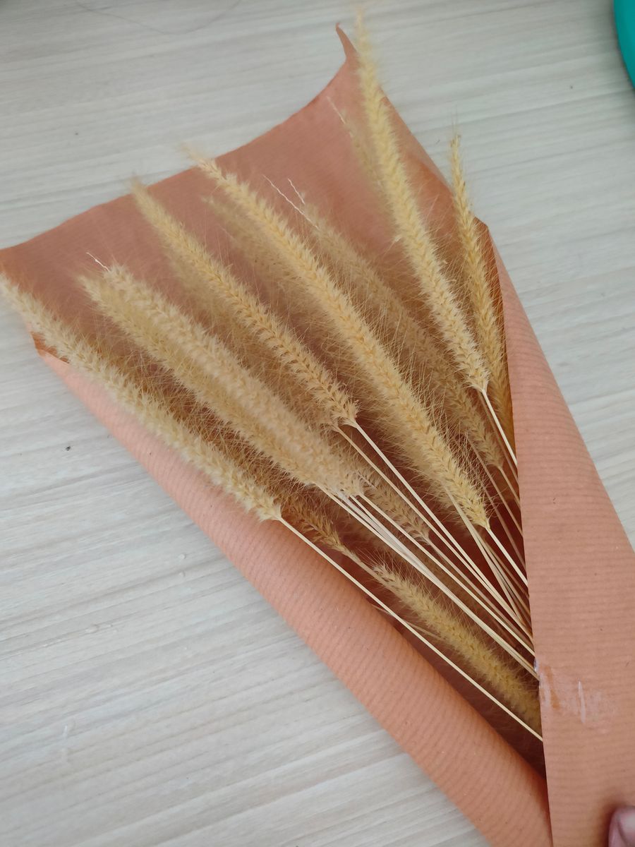 Dry flowers Posters Beige