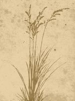 Plant art Posters Beige bild 1