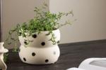 Dapne Kruka Beige bild 1