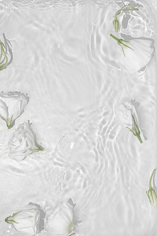 White Roses Posters Vit — Hemvaruhuset