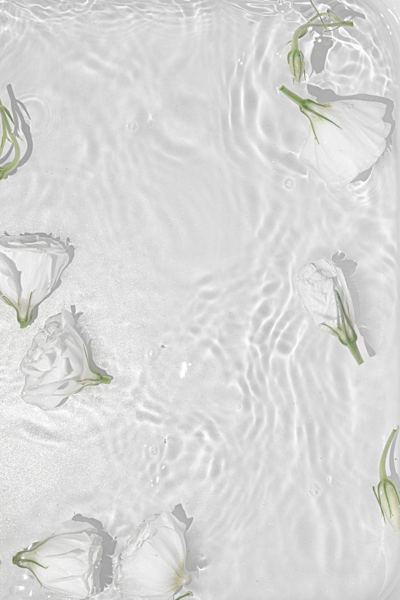 White Roses Posters - Alternate view