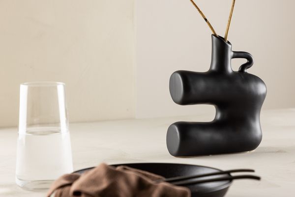 Dity Vas Svart — alternativ vy