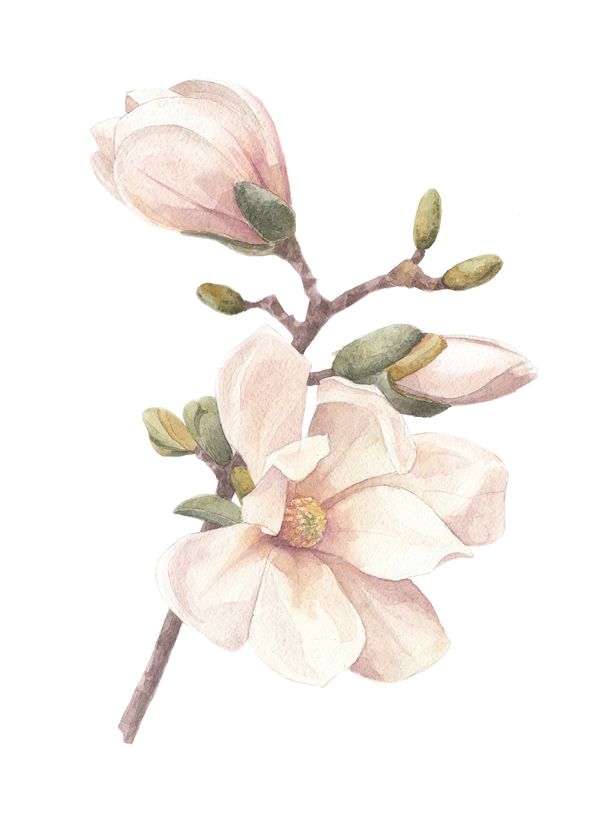 Hand made Posters Rosa — Hemvaruhuset