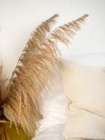 Bohemian Posters Beige bild 1