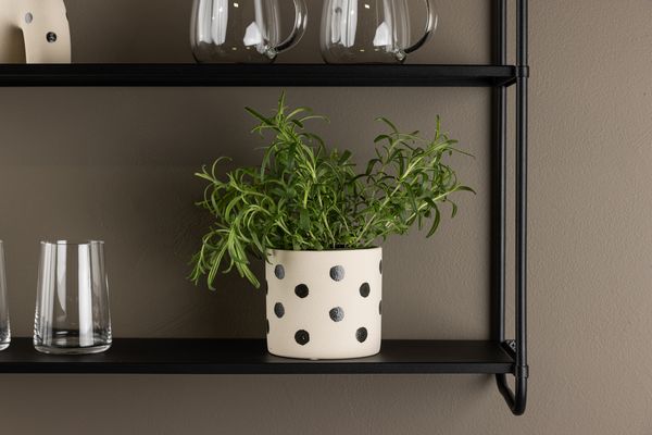 Sane Kruka Vit — alternativ vy