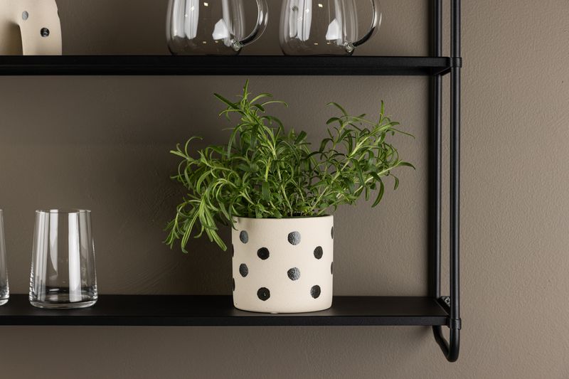 Sane Kruka - Alternate view