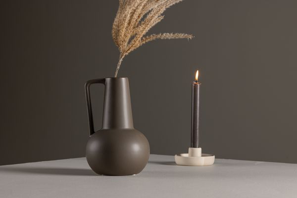 Lane Vas Brun — alternativ vy