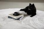 Nina Matta Vit bild 6