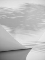 Papyrus Posters Vit bild 1