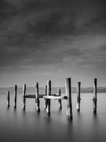 Ocean Posters Grå bild 1