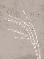 Seeds Posters Beige bild 1