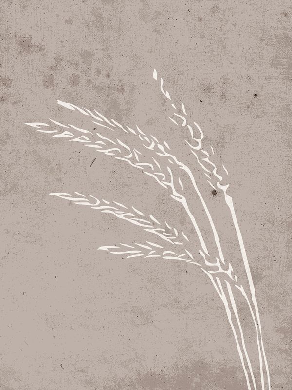 Seeds Posters Beige — Hemvaruhuset