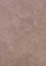 Structure paint Posters Brun bild 1