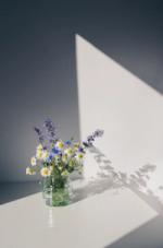 Flowers Posters Vit bild 1