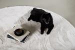 Nina Matta Vit bild 7
