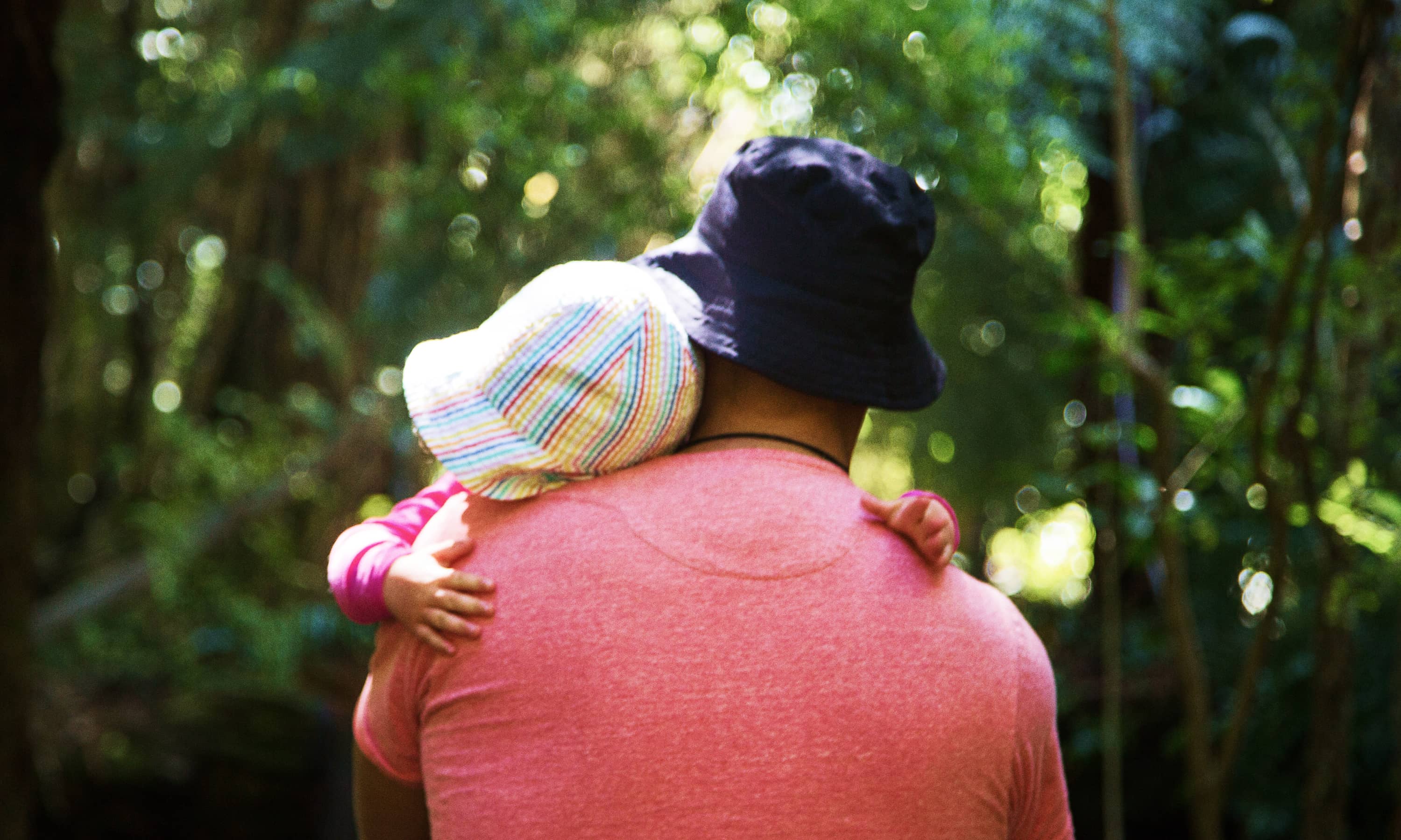 A man shown carrying a toddler in the park from behind 