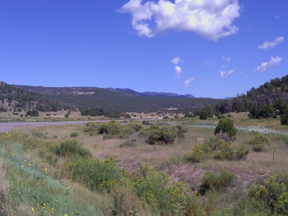 Some road in Colorado