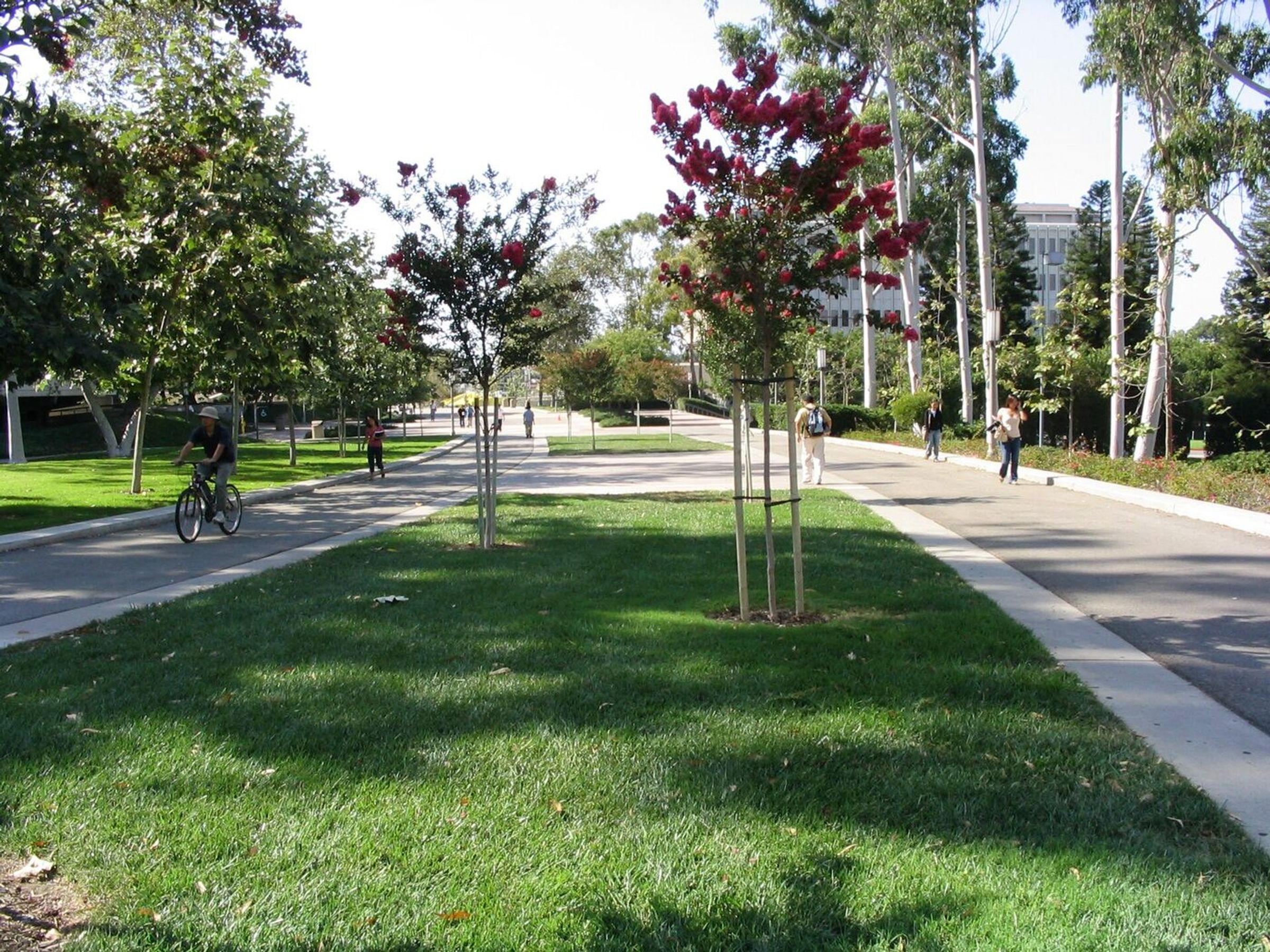 UC Irvine campus