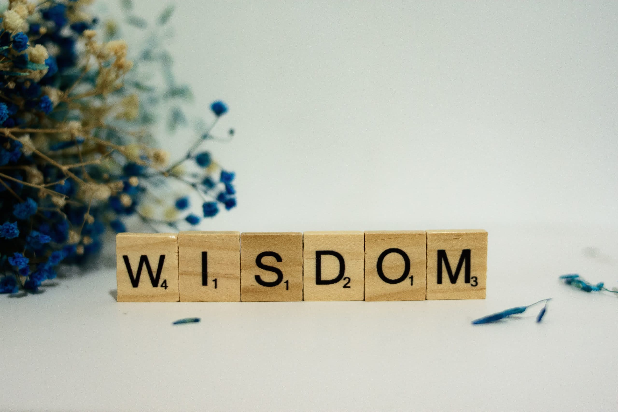 Wisdom Trilogy